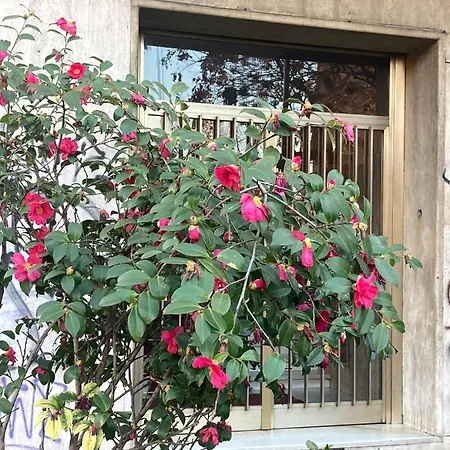 City House Viale Murillo 米兰