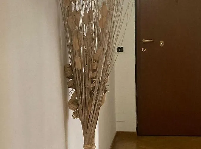 Apartament City House Viale Murillo *